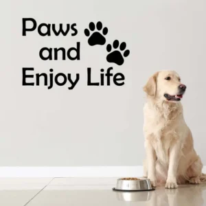 Paws-and-enjoy-life