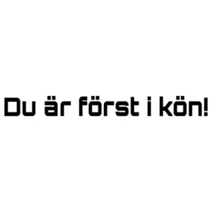 du-är-först-i-kön-dekal