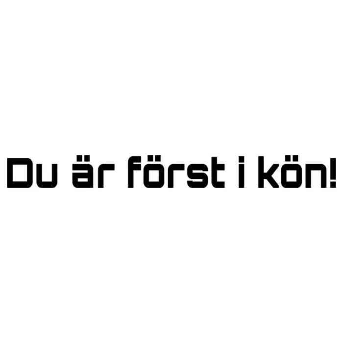 du-är-först-i-kön-dekal