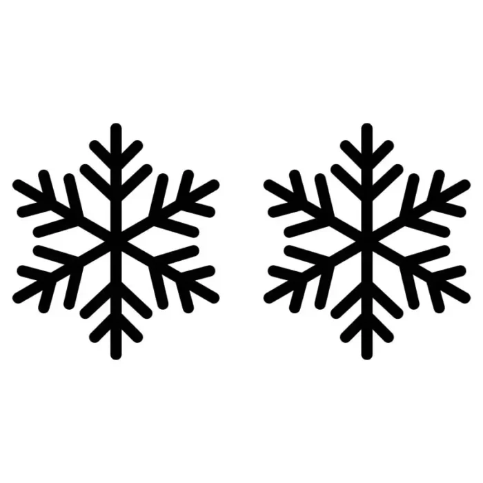 Snöflingor-Till-Julgranskulor-2Pack-Svart